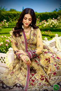 Luxury Adan libas Net Gown Three piece